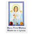 Maria Rosa Mistica Madre de La Iglesia Softcover Book