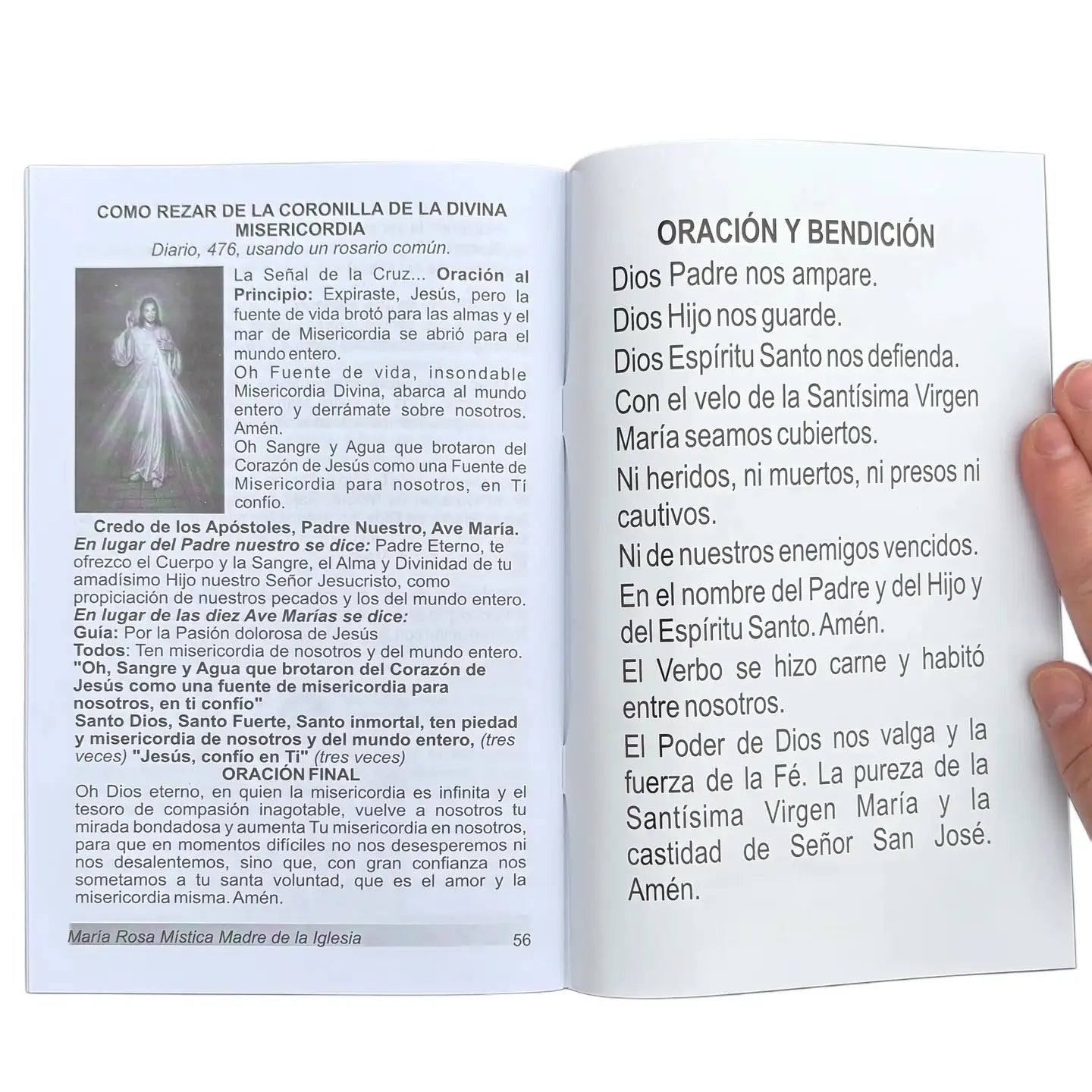 Maria Rosa Mistica Madre de La Iglesia Softcover Book