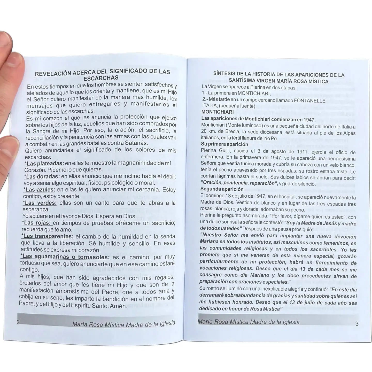 Maria Rosa Mistica Madre de La Iglesia Softcover Book