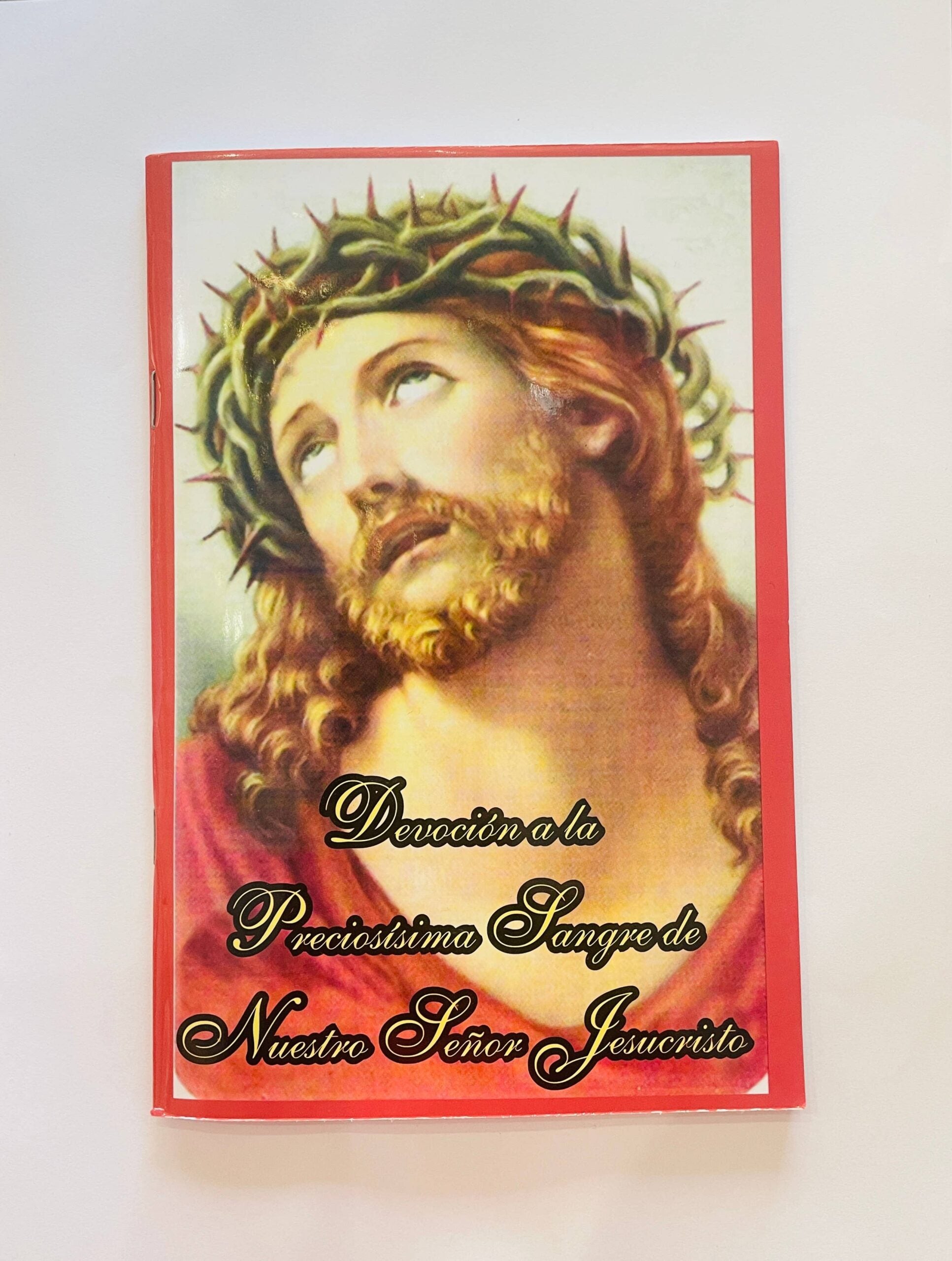 Devocion a Preciosisima Sangre Softcover Book