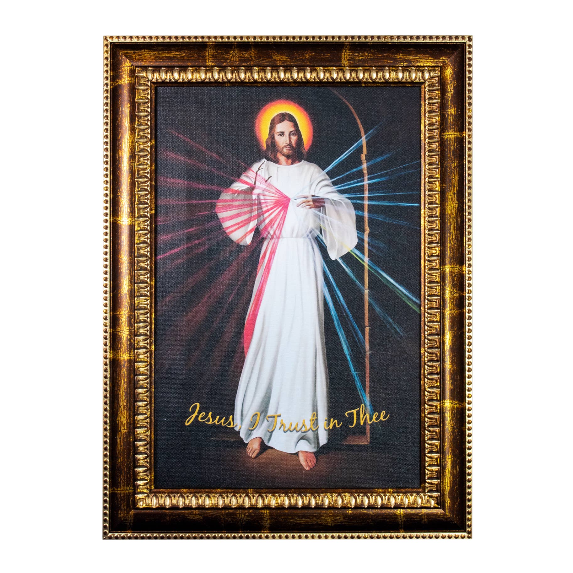 Divine Mercy Canvas   22"