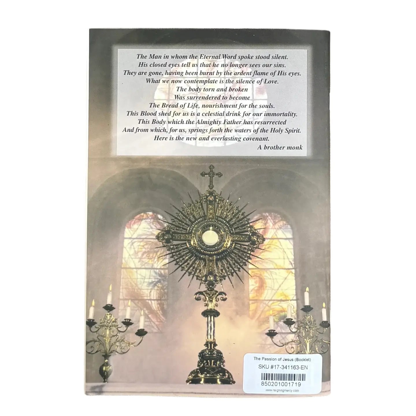 The Passion of Jesus The Shroud of Turin Softcover Book