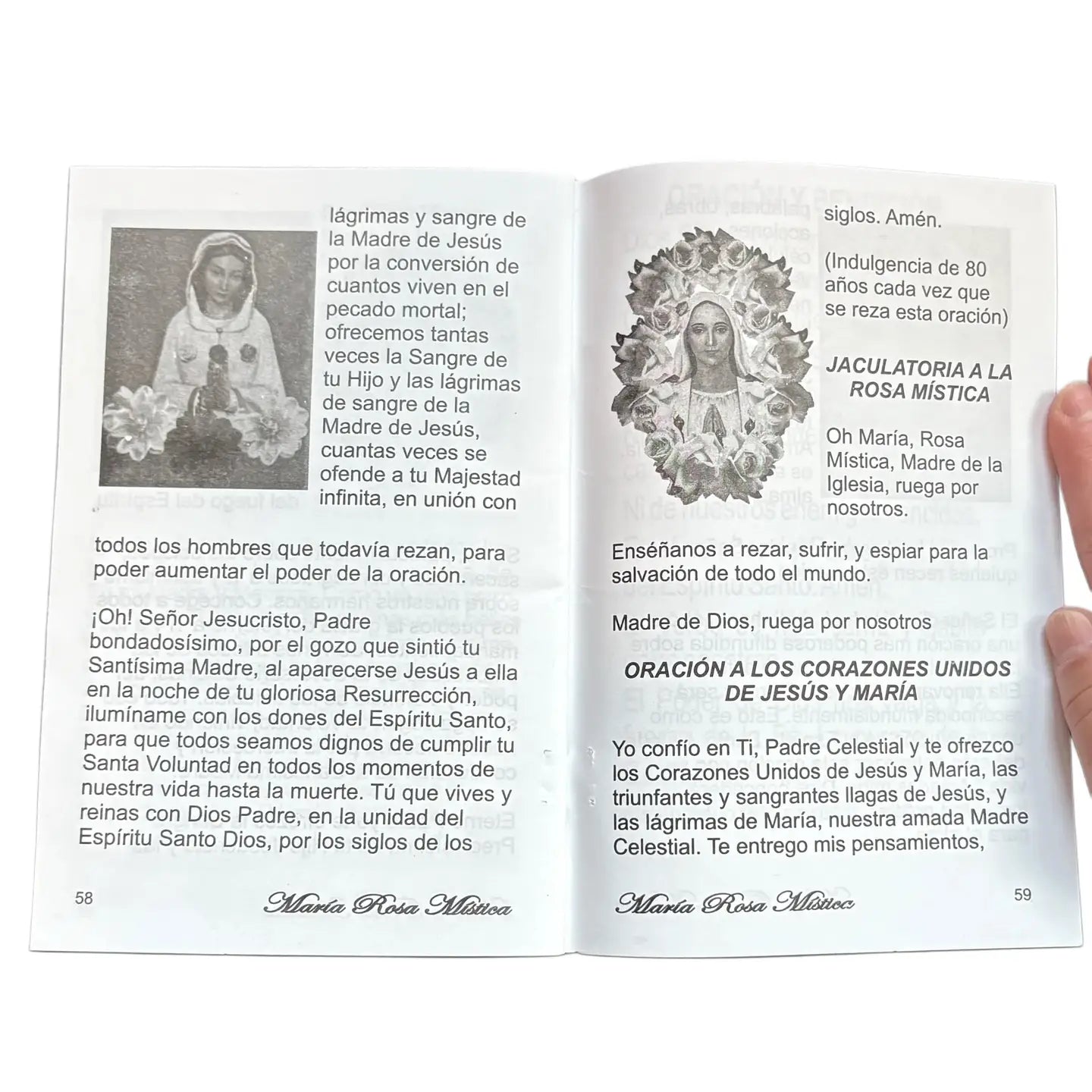 Maria Rosa Mistica Softcover Book