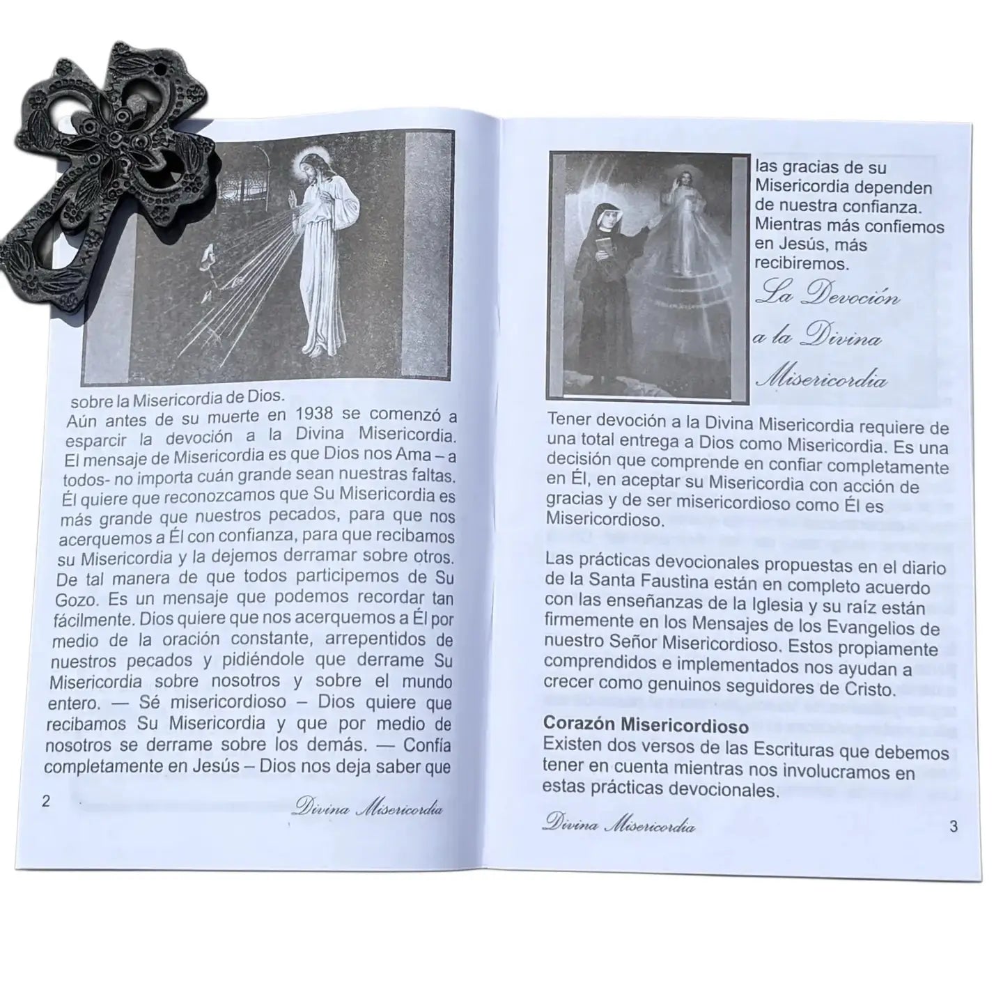 Devocion a La Divina Misericordia Softcover Book