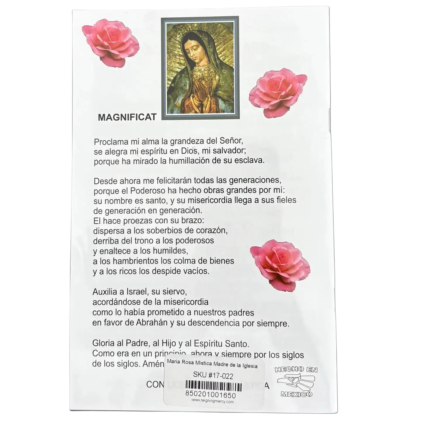 Maria Rosa Mistica Madre de La Iglesia Softcover Book