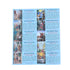 Pray The Rosary Daily Pamphlet    (25/pack)