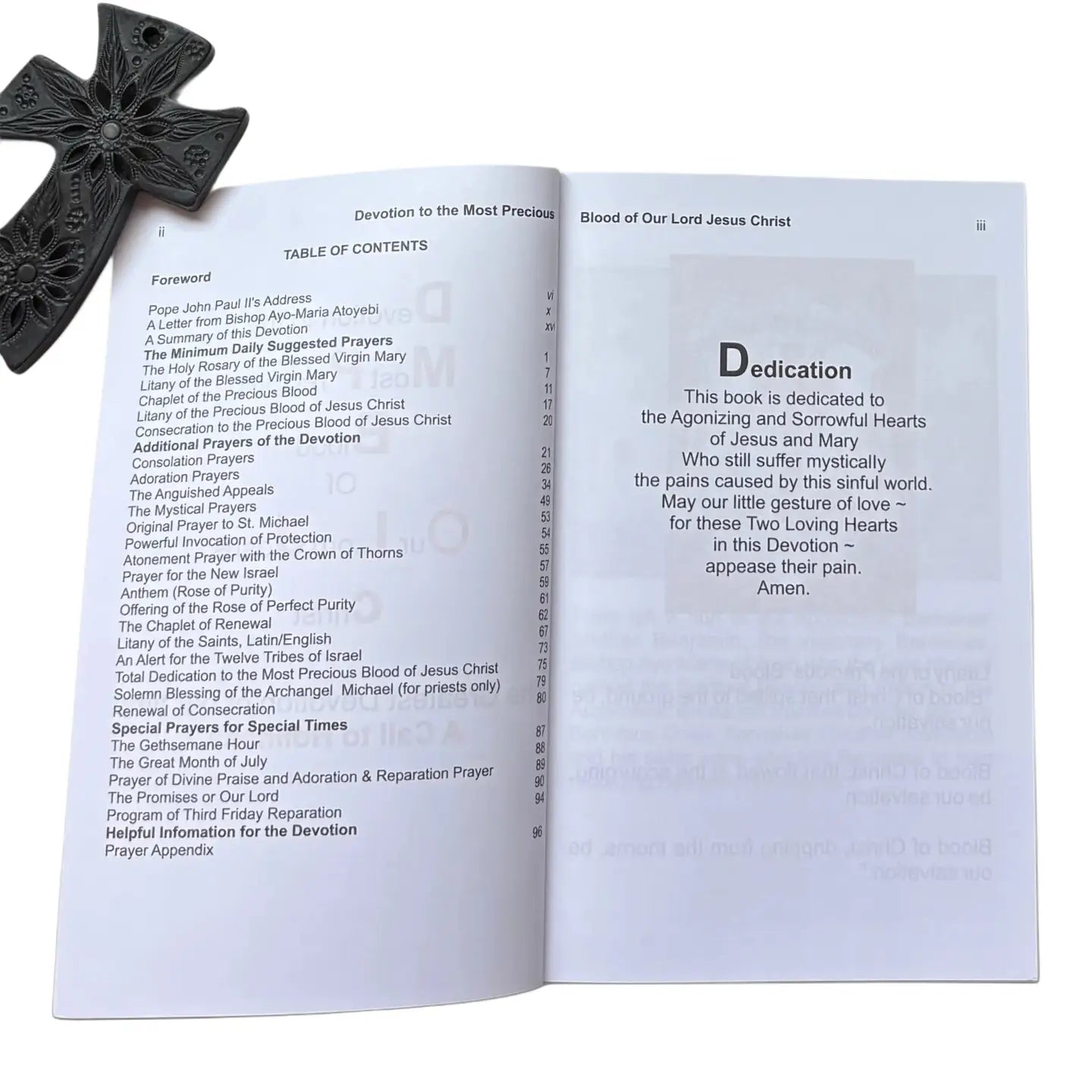 Devotion to the Precious Blood of Our Lord Jesus Softcover Book