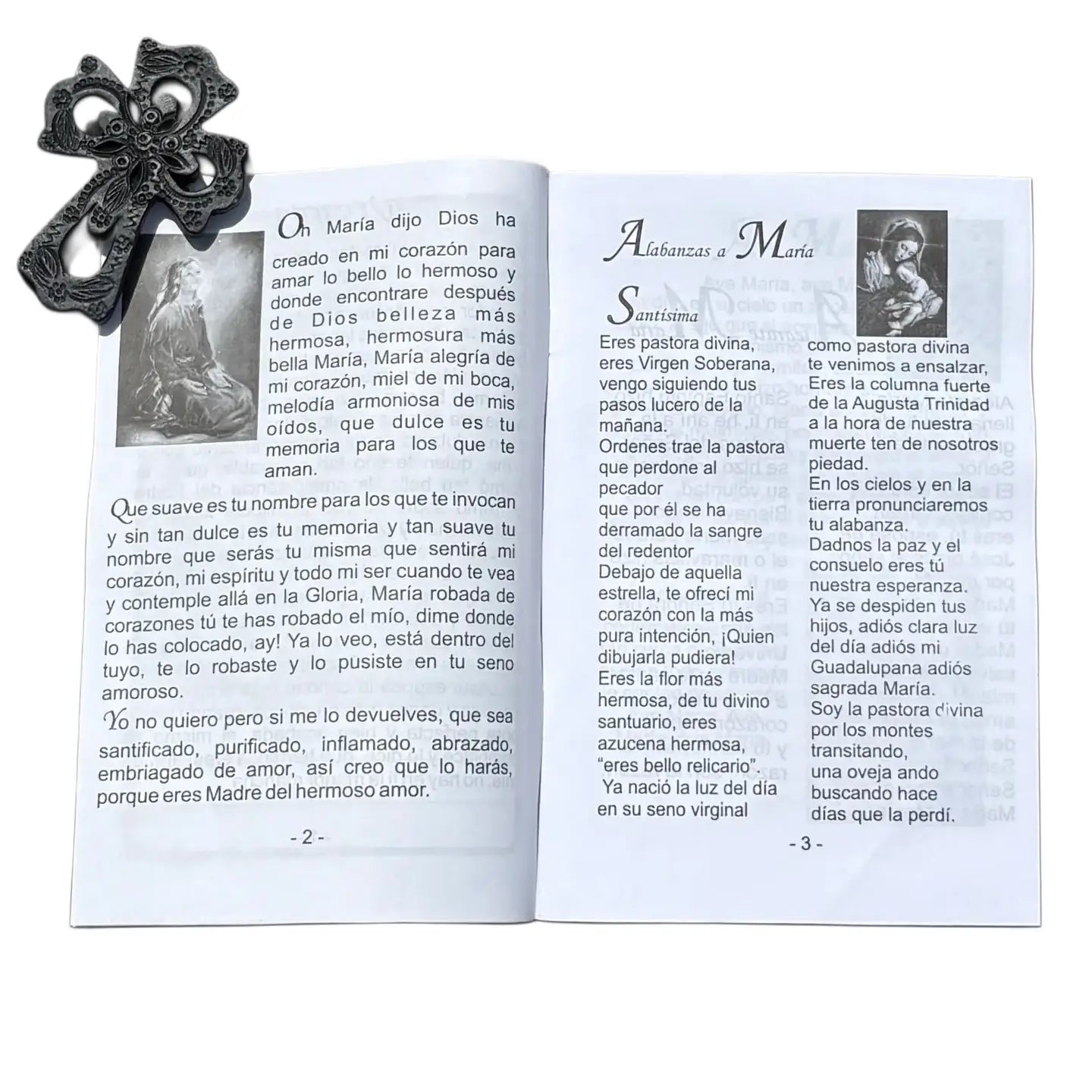 Cantos y Alabanzas a la Virgen Softcover Book