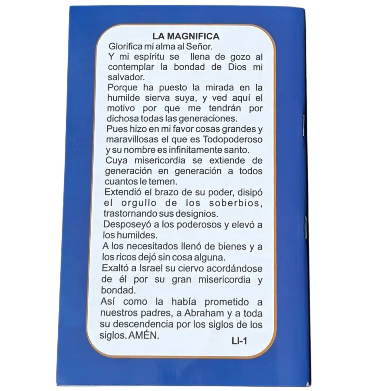 Devocion a La Divina Misericordia Softcover Book