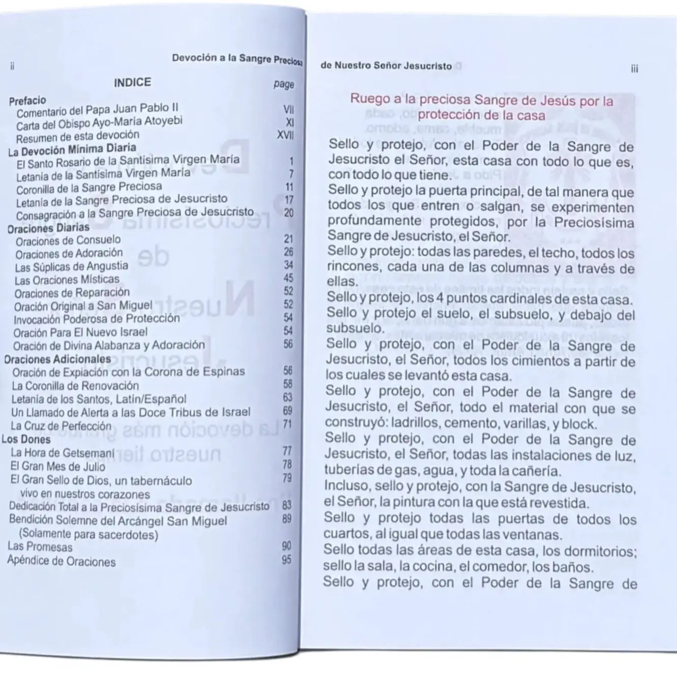 Devocion a Preciosisima Sangre Nuestro Sr Jesucristo Book