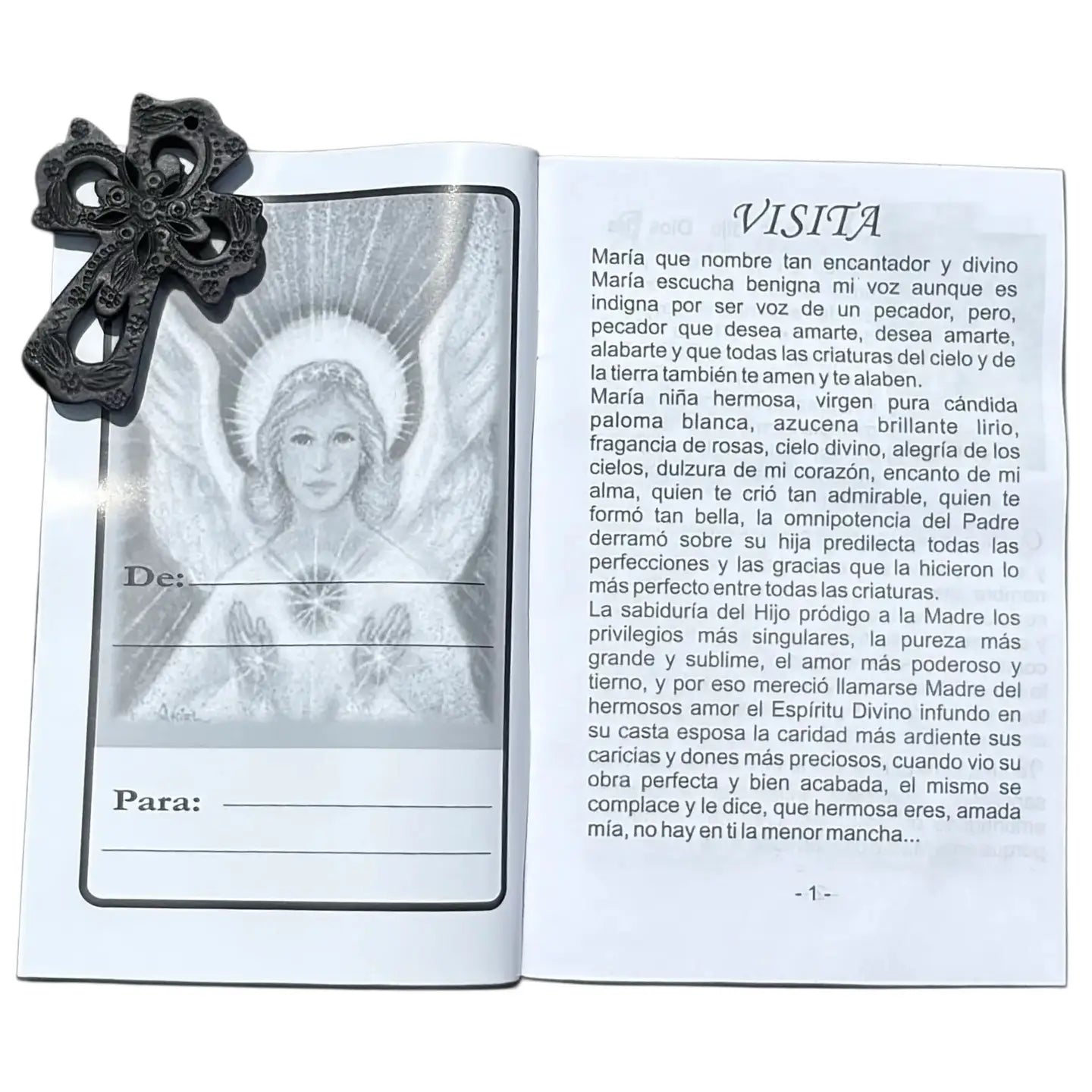 Cantos y Alabanzas a la Virgen Softcover Book