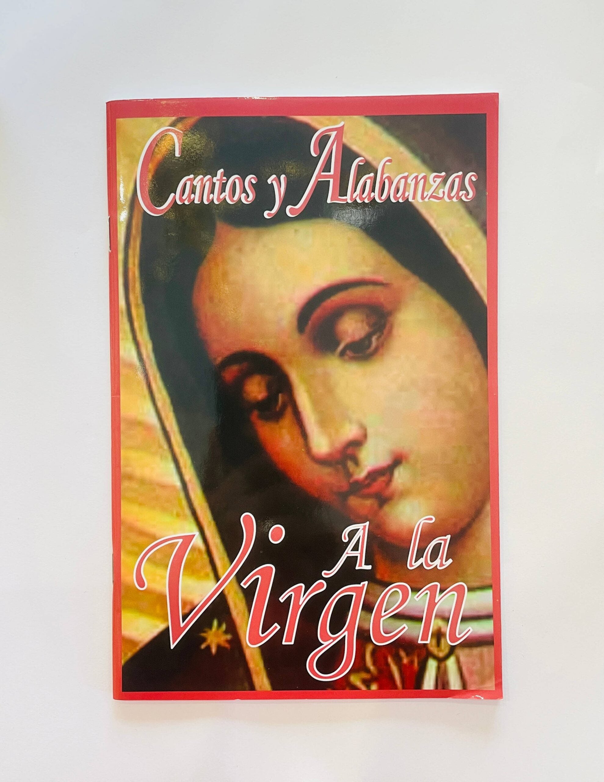 Cantos y alabanzas a la Virgen SOFT COVER    